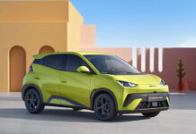 La Dolphin Surf nouvelle concurrente de la Dacia Spring