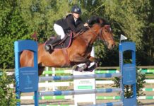 Walbourg – Marylou Krauth, l’or au bout des rênes