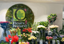 Découverte de la boutique Fleurs Ô Naturel à Haguenau