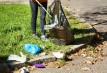 Environnement. Le nettoyage de printemps alsacien