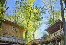 Quelques idées de sorties en Alsace-Lorraine avec Terres d’Oh !