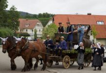 Cleebourg. Les Vendanges d’antan perdurent